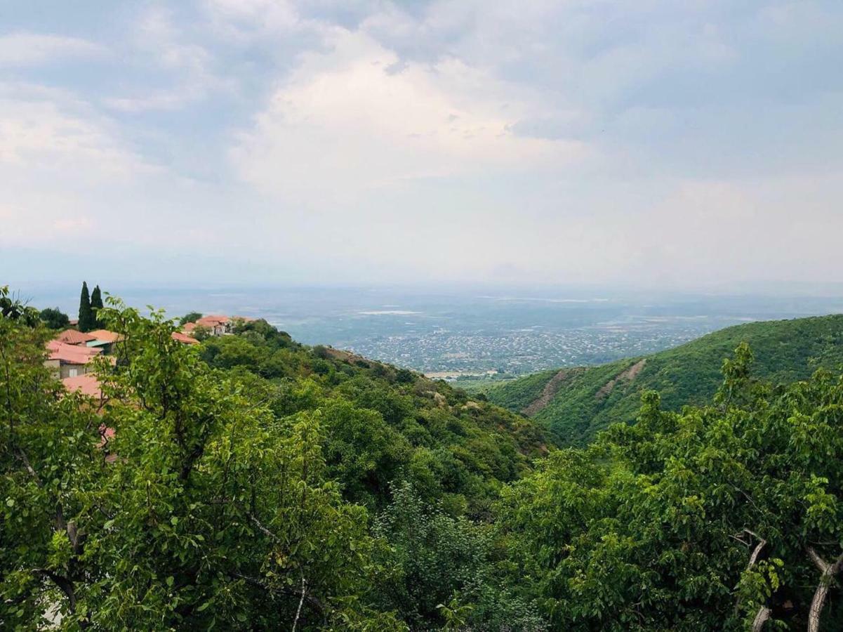 Guest House Evdoshvili St N5 Sighnaghi Εξωτερικό φωτογραφία